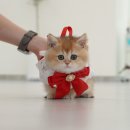 영덕사랑동물병원 이미지