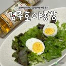 참농장 | 경주호야농장에서 유러피안샐러드 모듬쌈채소 배송 후기