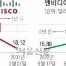 1일 천하 엔비디아 ‘닷컴버블’?… “실적 견고·투심 든든” 이미지