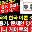 문재인 당선시킨 "차이나 게이트"의 실상...... 이미지