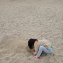 오르농장 이미지