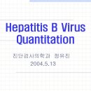 Hepatitis B Virus Quantitation 이미지