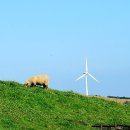 안반데기 목장 이미지