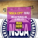 BB휘트니스센타 이미지