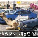 네비야 - 송파구 거마로 18 | 네비야