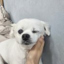 행정용 9 | [공무원/9급/교육행정] 2026 국가직 시험 후기 + 가답안