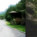 유치자연휴양림 이미지