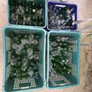 빙고하우스 | 춘천 게스트하우스 파티 추천 화장실 깨끗하고 재미있는곳 로하스게하