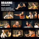 String Sextet No.1 in Bb major, Op.18 (Brahms) 이미지