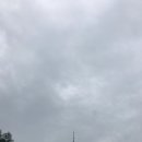 용산도서관 이미지