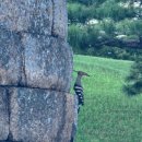 광안1-302 이미지