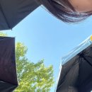 20260531 뷰민라 후기 (부제: 이번생은 밴드를 영원히사랑해)