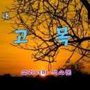 고목 - 창원시 성산구 | 고목