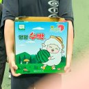 청운농장 | 2025 양평 수박축제 실시간 후기 일정 주차장위치