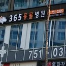 에이플동물병원 이미지