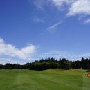 주식회사 서진종합개발 이미지