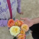 [25. 5. 24] 주일학교 순천정원박람회 나들이 이미지