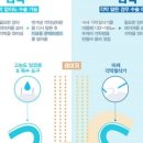 눈사랑성모안과의원 이미지