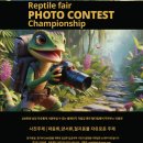 빡샵 네이버블로그