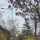 길모퉁이 이미지