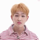 회조아 이미지