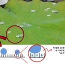 수성화학