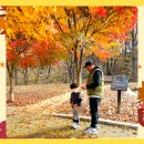 석실로317번길 70 이미지