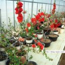 명자농장 이미지