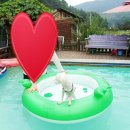 개울옆길 이미지