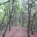 [국도1] 대전시 세동 - 3804 | [국도1] 대전시 세동