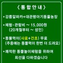 대관령 아기동물농장 이미지