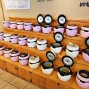 예향정전대점 | 광주 전대 맛집 예향정 집밥 느낌의 후문 신상 맛집