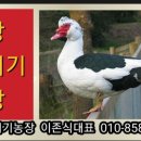 성광농장 이미지