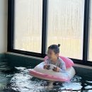 동세종농협 하나로마트 | 세종 풀빌라 키즈 펜션 구공스테이 안온 내돈내산 후기