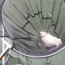 대석낚시터(대석저수지) 이미지