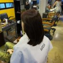 웰라미용실 - 서대문구 | 웰라미용실