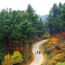 장애인자존감향상 프로그램 이미지