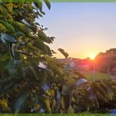 힐링민박 이미지