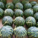 포전영농조합 이미지