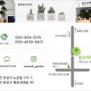 3820 | #화분선물 #축하화분 #대전개업화분 #세종개업화분