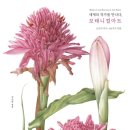 보태니컬아트 이미지