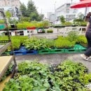 서수원농자재마트 이미지