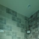 담양버치 이미지