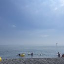 모아마트주전점 이미지