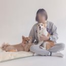 일팔퍼센트그레이 이미지