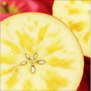 제로마진유통 | 자연스럽게 만족하는 [유통마진제로] 꿀가성비 초고당도Brix 가정용 부사사과 추천