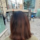 [내돈내산] 구월동 미용실 본비반트 솔직후기