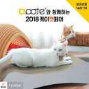 뽀떼나