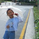 백제건강의료기 | [♥️쌍둥이 임신♥️] 상계백병원 / 대학병원 / 36주 4일 / 출산 하루 전 입원