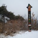 장원초교 이미지